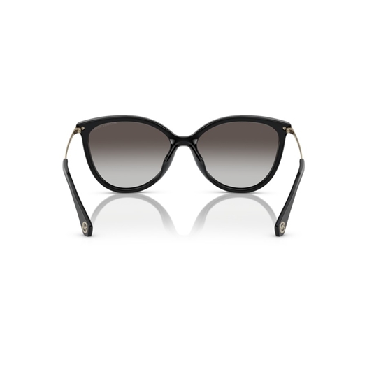 MICHAEL KORS MK2184U - 30058G DUPONT