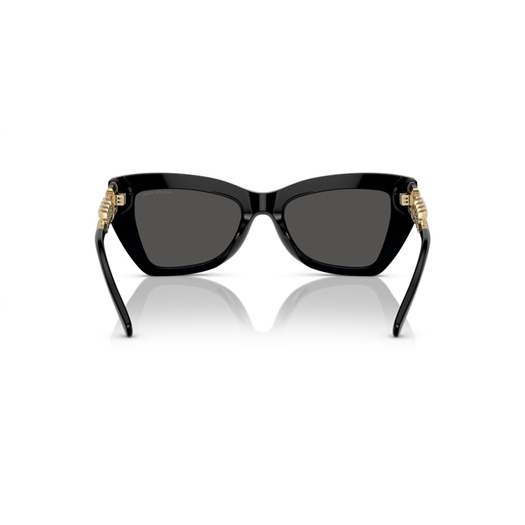 MICHAEL KORS MK2205 - 300587 MONTECITO