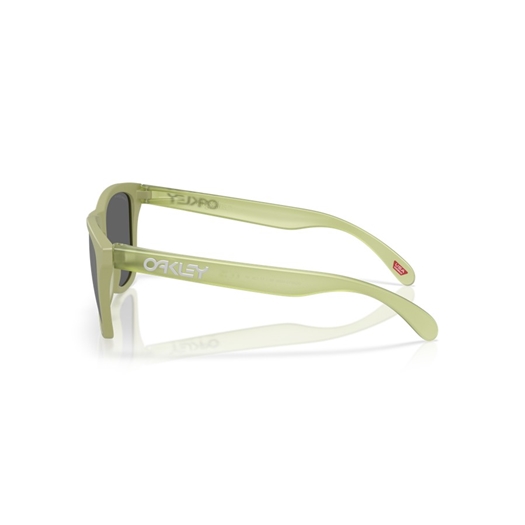 OAKLEY OO9013 - 9013M2 FROGSKINS