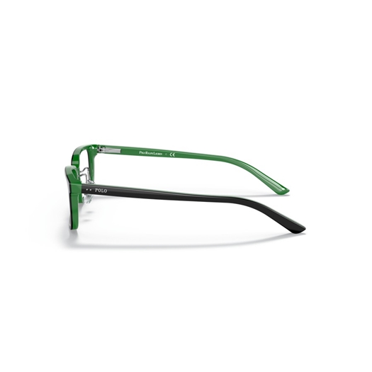 POLO PP8545 - 5613