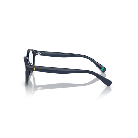 POLO PP8546U - 5964