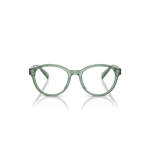 POLO PP8546U - 6099