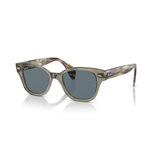 RAY-BAN RB0880S - 66353R