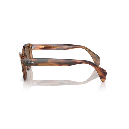 RAY-BAN RB0880S - 664057