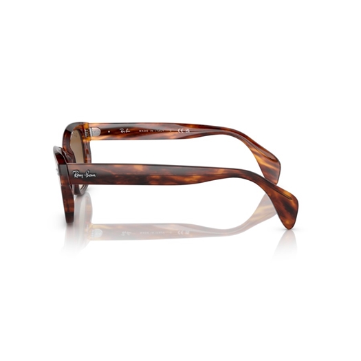 RAY-BAN RB0880S - 954/51