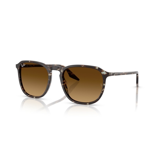 RAY-BAN RB2203 - 143185