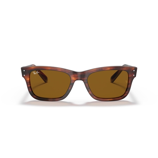 RAY-BAN RB2283 - 954/33 MR BURBANK