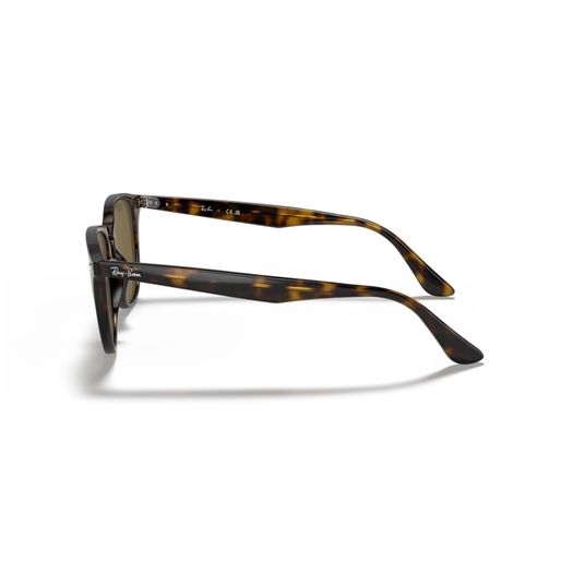 RAY-BAN RB4259 - 710/73