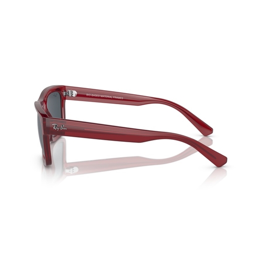 RAY-BAN RB4396 - 667987 WARREN