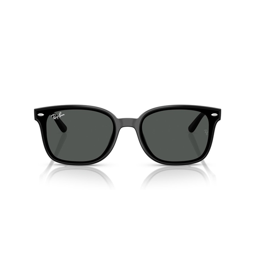 RAY-BAN RB4461D - 601/87