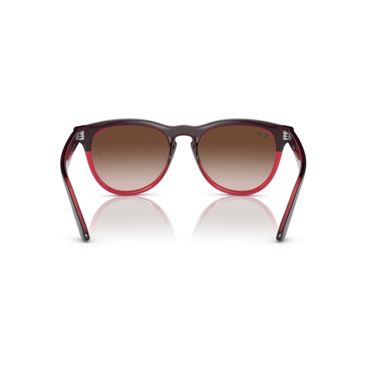 RAY-BAN RB4471 - 663113 IRIS