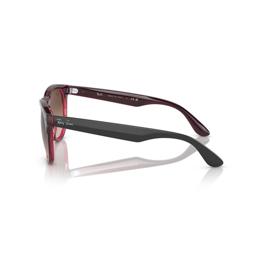 RAY-BAN RB4471 - 663113 IRIS