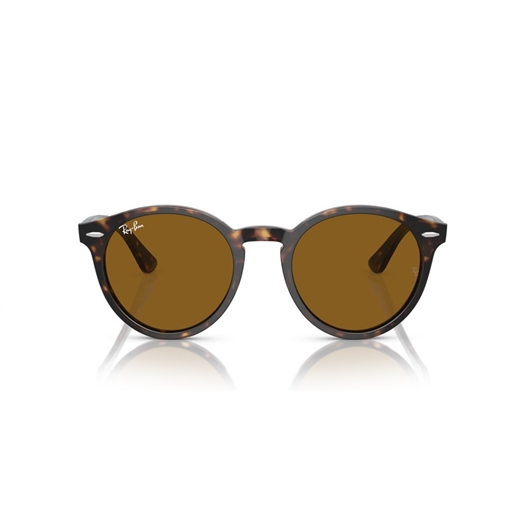 RAY-BAN RB7680S - 902/33 LARRY
