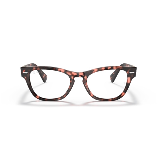 RAY-BAN  RX2201V - 8118 LARAMIE