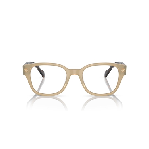 VOGUE VO5529 - W900